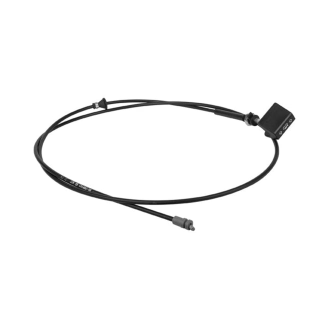 Chicote Cofre Para Ford Focus 2000-2007