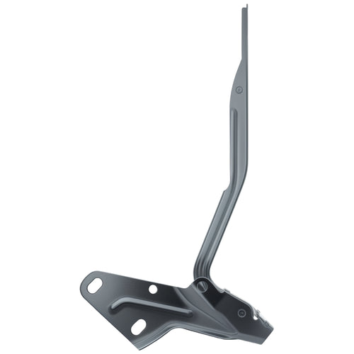 Bisagra Cofre Izquierda 2500 2011-2018