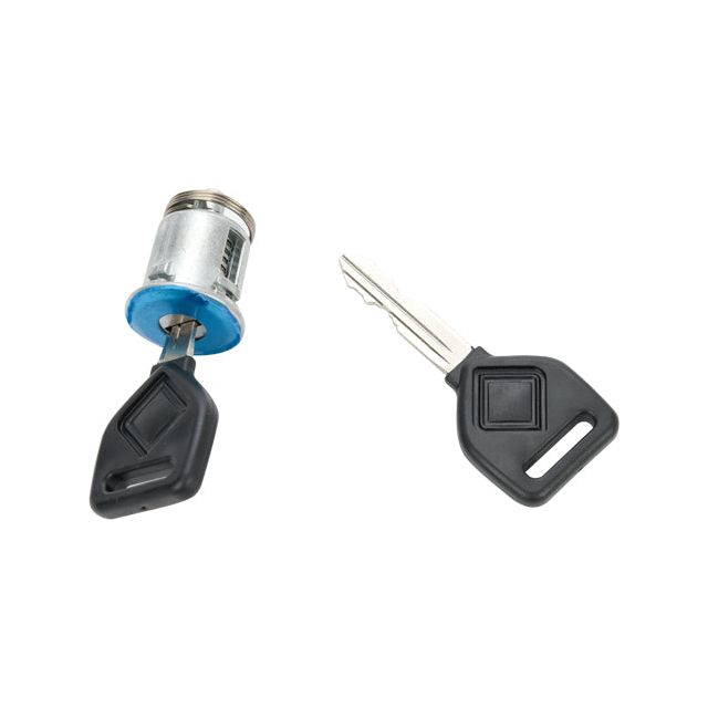 Cilindro Puerta P/ International Durastar 2001-2020