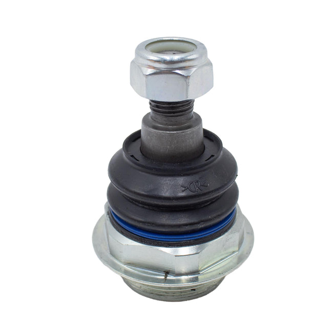 Rotula Inferior para Peugeot Expert 2019-2023
