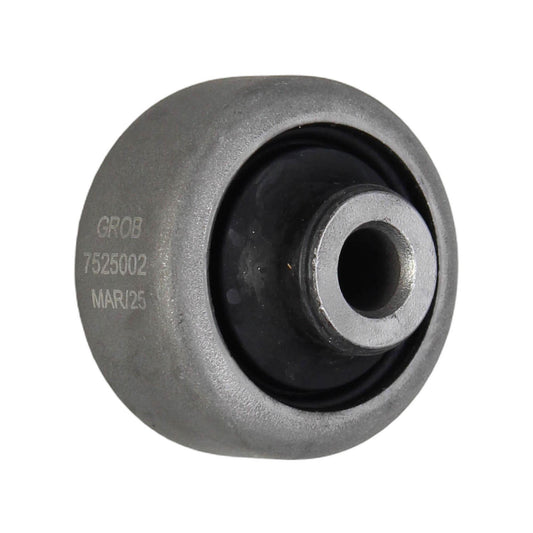 Buje Inferior Trasero Renault Clio Europa 2007-2009