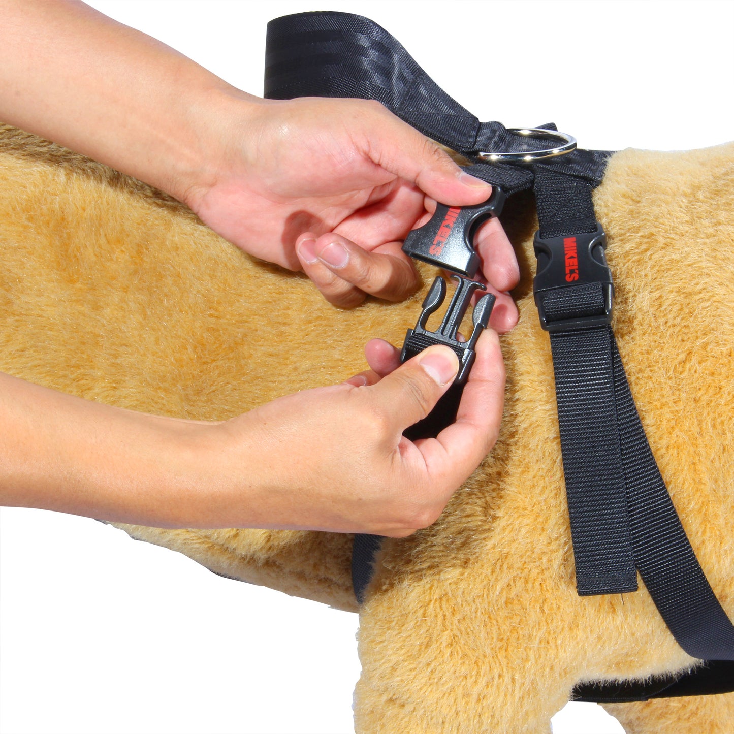 Cinturon de seguridad para mascotas