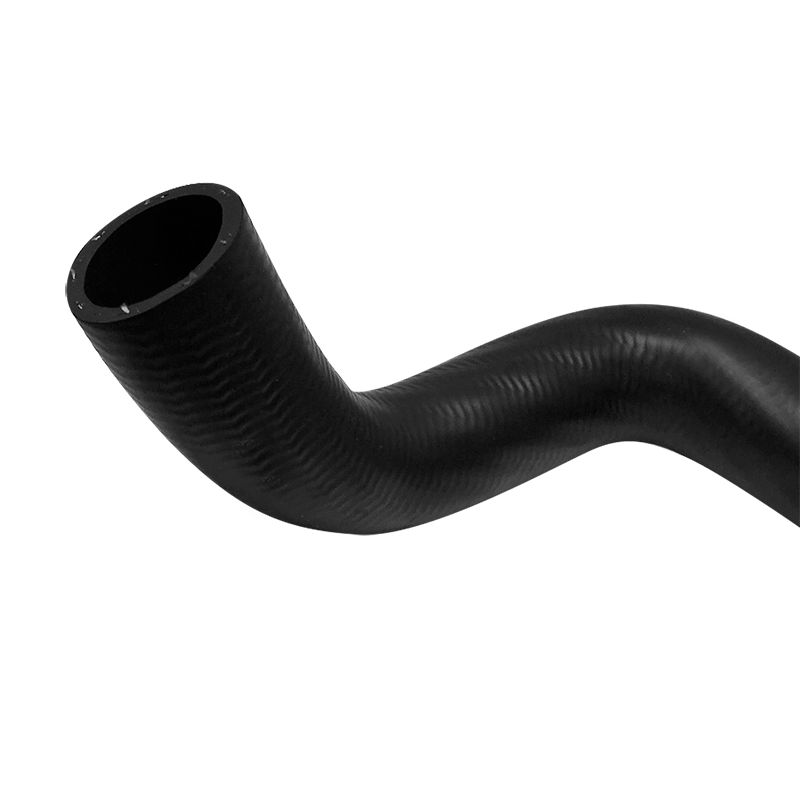 Manguera Moldeada Ford Focus 2.0 2000-2004