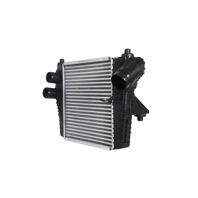 Intercooler Ford F-150 11-12
