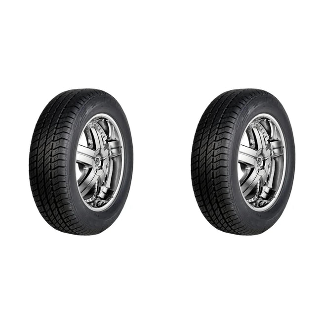 Paquete de 2 Llantas 205/60 R15 91U Radburg B&P PNEUS MV3A Renovada