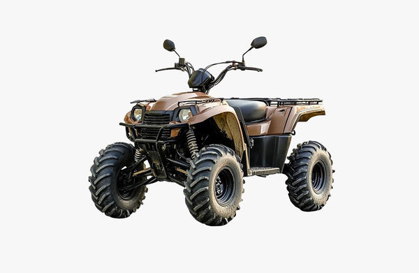 ATV/UTV