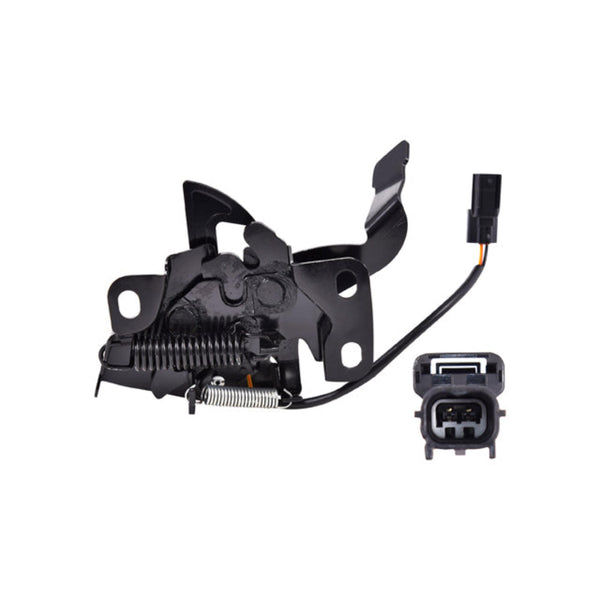 Chapa Cofre P/ Honda Accord 2008-2010