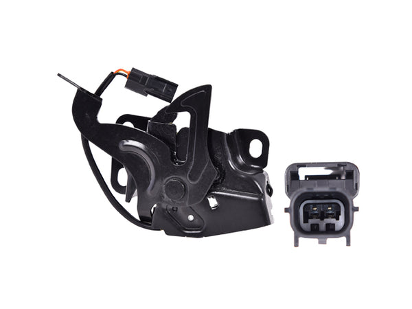 Chapa Cofre P/ Honda Accord 2008-2010