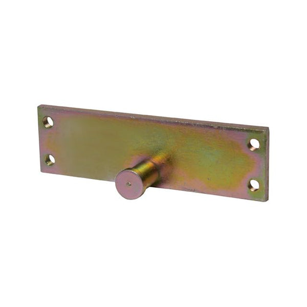 Chapa Puerta Kw Camion Universal P/ Kenworth Camion 1900-9999