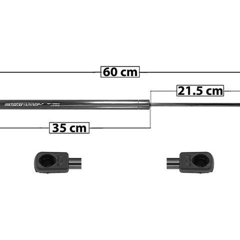 Amortiguador 5Ta Puerta P/ Ford Freestar 2004-2007