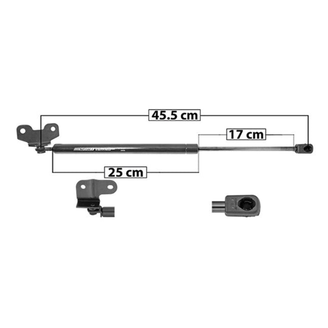 Amortiguador Cofre Hd P/ Honda Accord 2008-2012