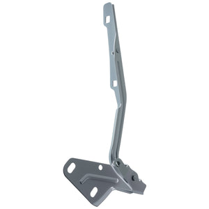 Bisagra Cofre Izquierda 2500 2011-2018
