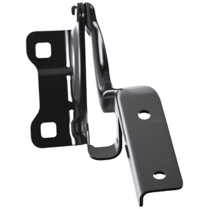 Bisagra Cofre Derecha Pathfinder 2013-2020