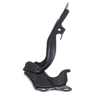 Bisagra Cofre Izquierda Tacoma 2005-2011