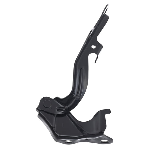 Bisagra Cofre Izquierda Tacoma 2005-2011