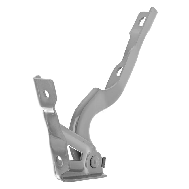 Bisagra Cofre Izquierda RX5 2024