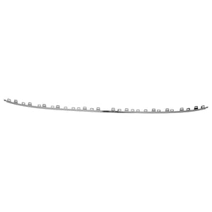 Moldura Fascia Trasera Central Cromada R-line Tiguan 22-24