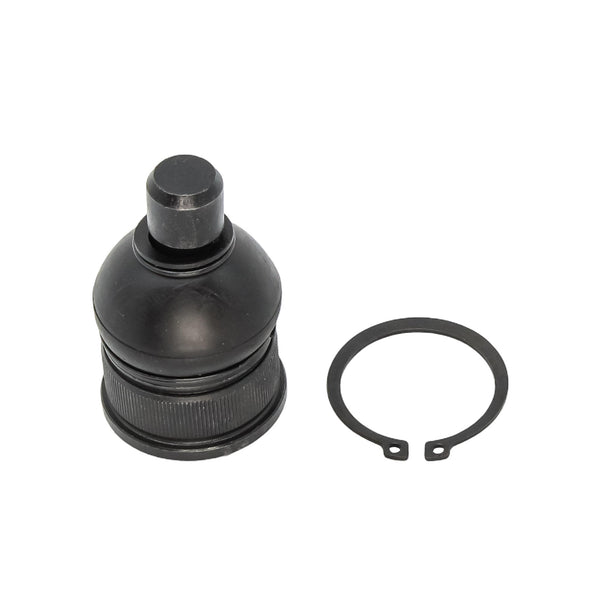 Rotula Inferior Ford Escape 2001-2012