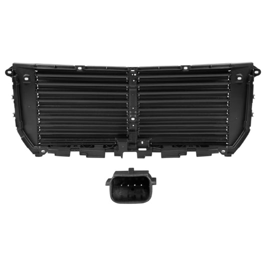 Inserto Parrilla P/ Ford F-150 2019-2020