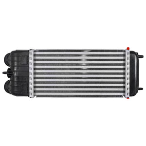 Intercooler Peugeot 207 2008-2009 Polar