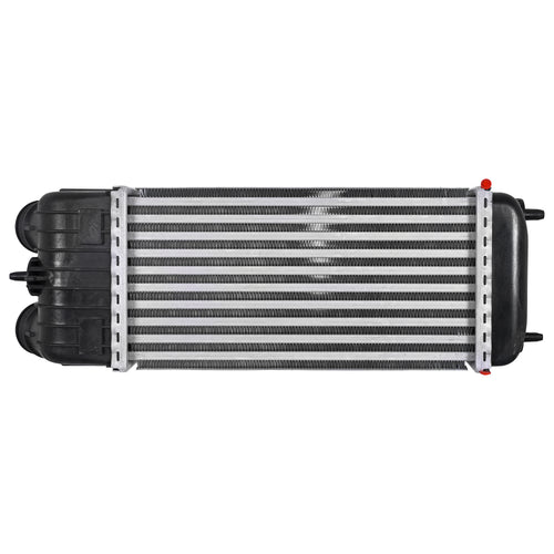 Intercooler Peugeot 207 2008-2009 Polar