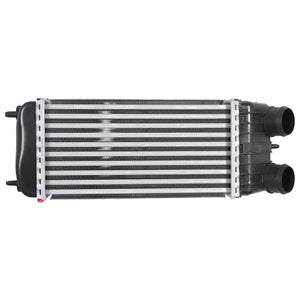 Intercooler Peugeot 207 2008-2009 Polar