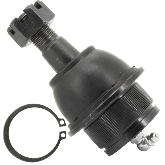 Rotulas Del. Inf. Der. P/ Dodge Dakota 2004 - 2010
