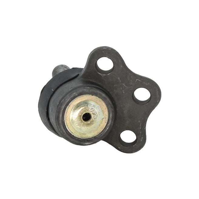 Rotula Superior Dodge Dakota 2000-2004