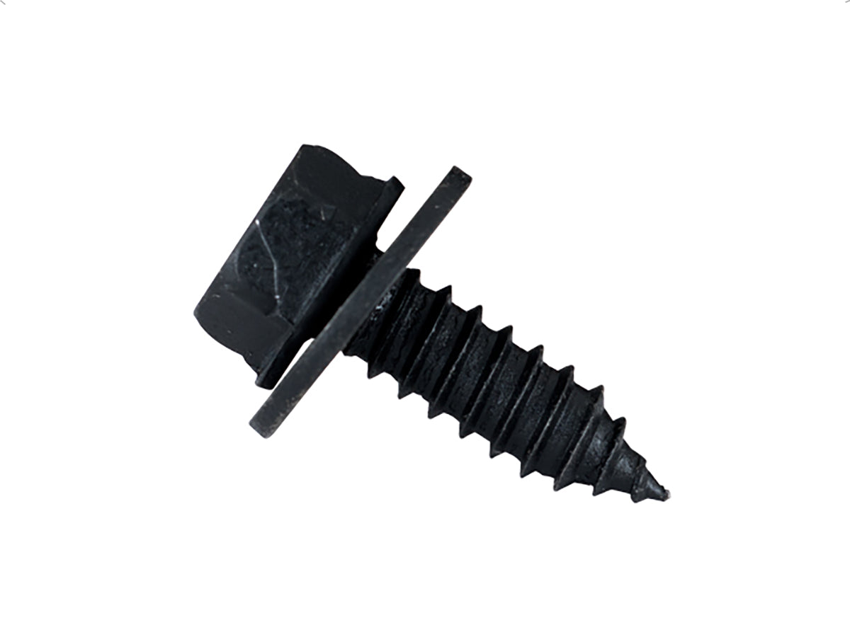 Pija P/ Universal Universal 1900-9999