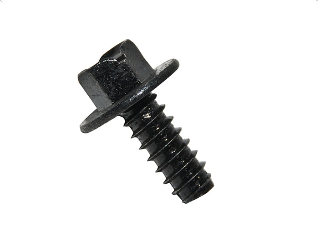 Tornillo Porta Placa Fd Univ 1/4 X 5/8 Crom Cabe 5/16 Rondan 5/8 50Pz