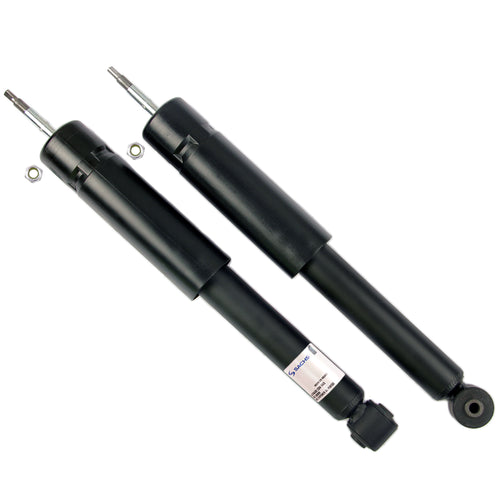 Amortiguador Trasero Fortwo 2007-2014 SACHS