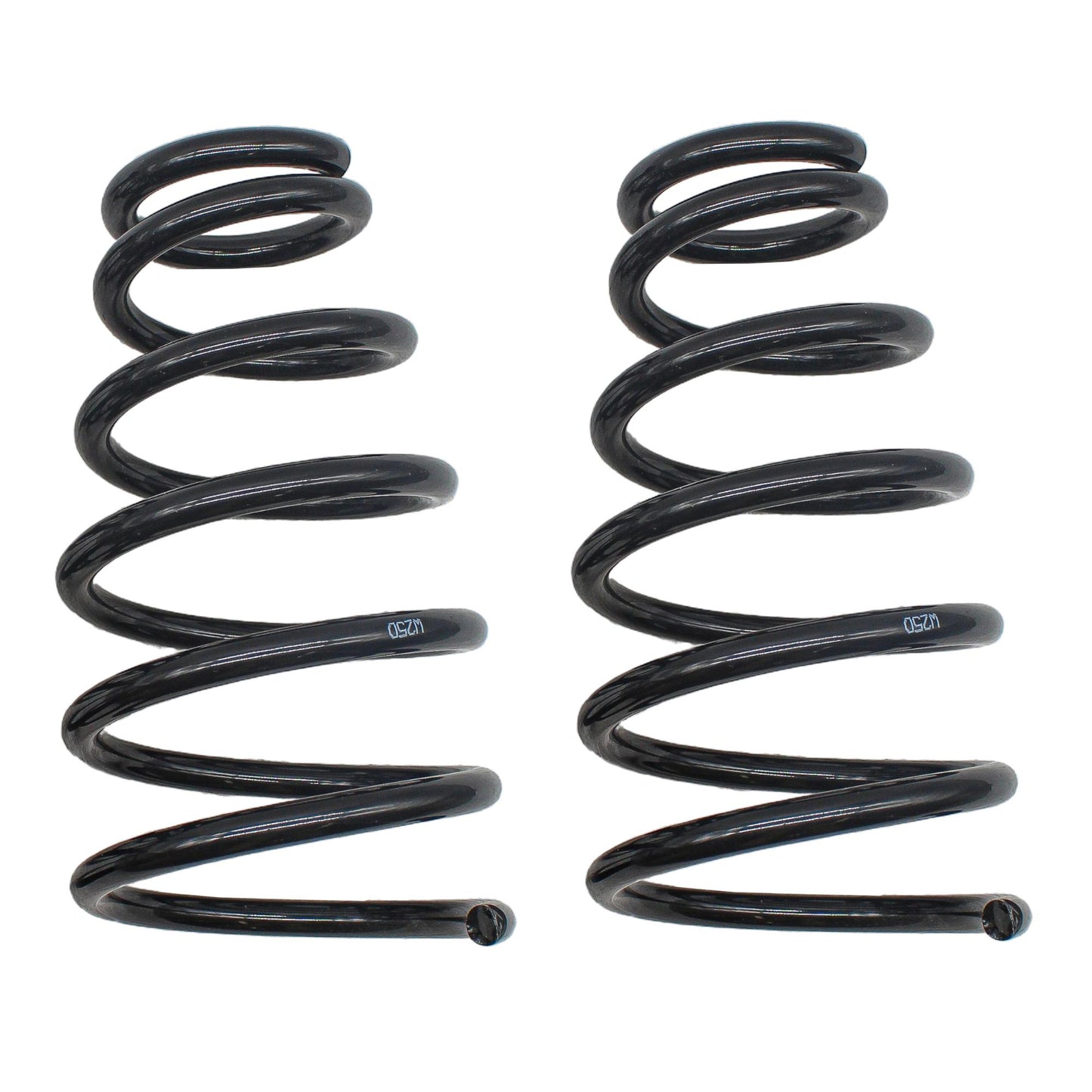 Resorte Trasero Fiat Palio 2005-2007