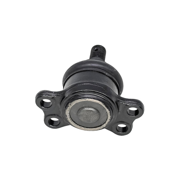 Rotula Inferior MG RX8 2022-2022