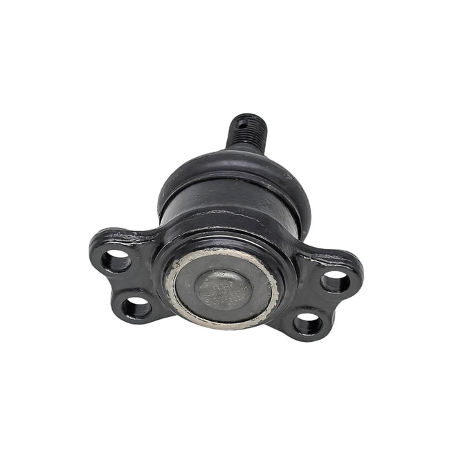Rotula Inferior MG RX8 2022-2022