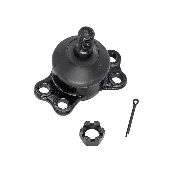 Rotula Inferior MG RX8 2022-2022