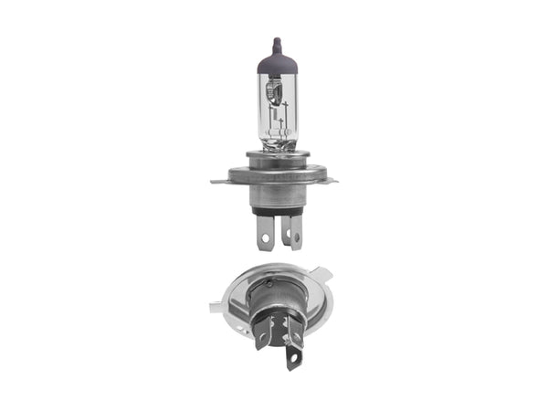 Foco Universal Halogeno P/ Universal Universal 1900-9999