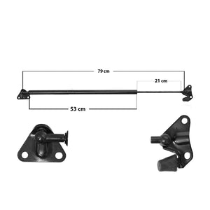 Amortiguador Cajuela Para Toyota Hiace 2004-2014