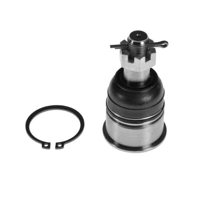Rótula Suspensión Izq Inf TSX 2004-2008
