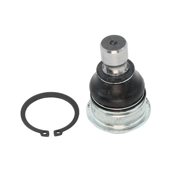 Rotula Inferior Nissan Murano 2003-2008