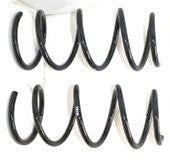 Resorte Delantero Renault Scenic II 2005-2009