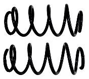 Resorte Trasero Renault Captur 2017-2023