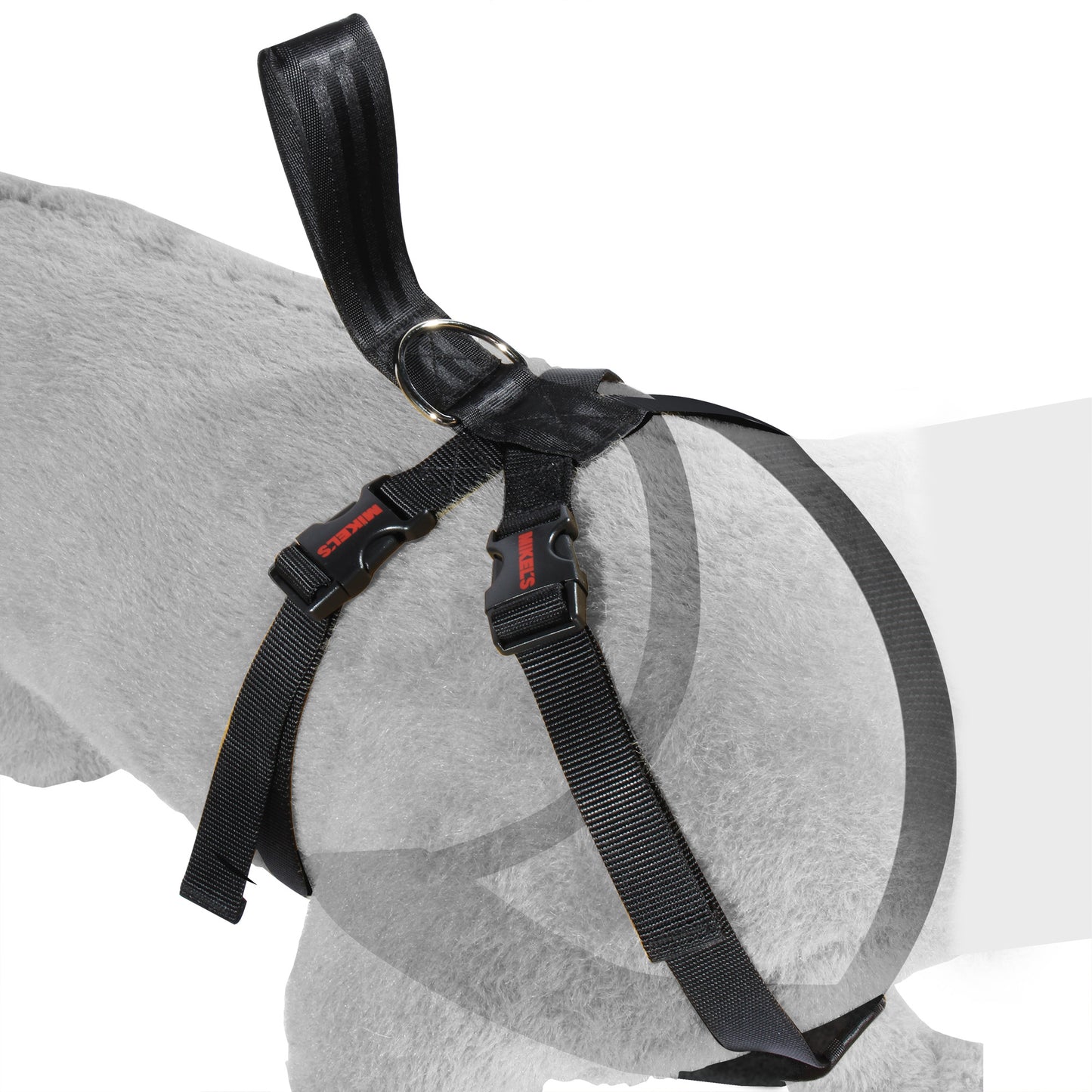 Cinturon de seguridad para mascotas