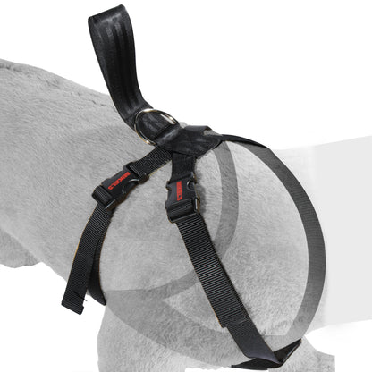 Cinturon de seguridad para mascotas