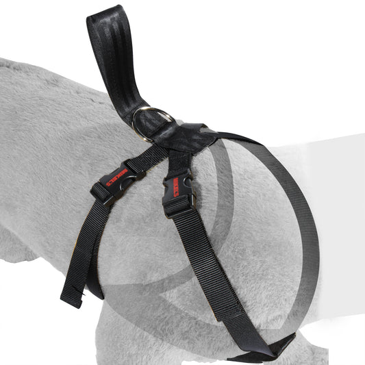 Cinturon de seguridad para mascotas