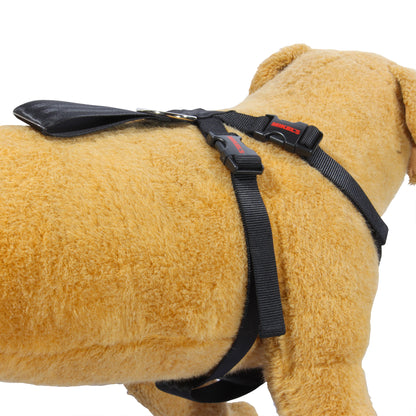 Cinturon de seguridad para mascotas