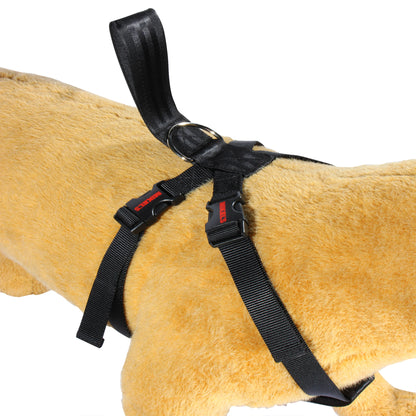 Cinturon de seguridad para mascotas