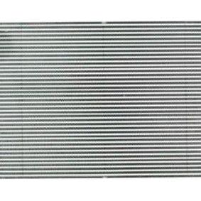 Intercooler Freightliner Cascadia 17-21