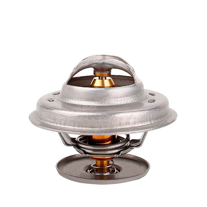 Termostato Audi A8 Quattro 4.2 2003