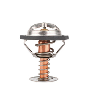 Termostato Buick Lucerne 4.6 2006-2011