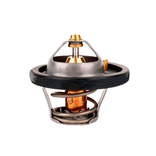 Termostato Ford Ecosport 2.0 2013-2015